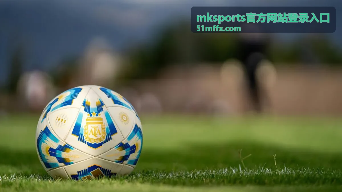 mksports官方网站登录入口 安装包下载与校验界面